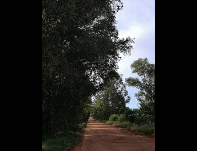 21HA FARM FOR SALE IN MOOINOOI